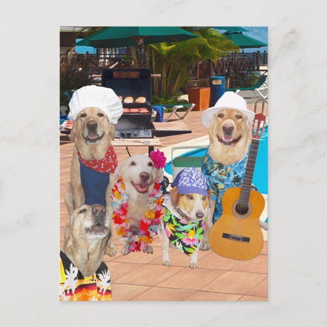 Funny Dog Customisable Pool Party Postcard (Front)