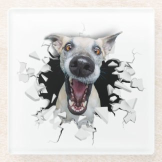 Funny dog face glass coaster