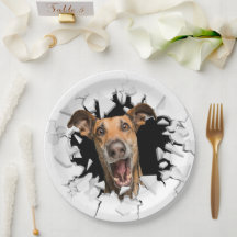 Funny dog face paper plates