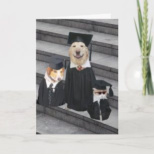 Funny Dog Graduation Card