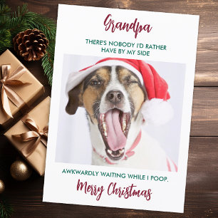 Funny Dog Grandpa Pet Photo Granddog Christmas  Holiday Card