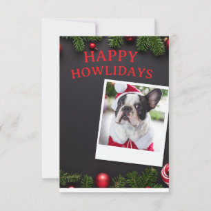 Funny Dog Happy Howlidays Christmas Card