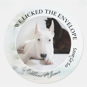 Funny Dog “I Licked the Envelope” Tropical Beach Classic Round Sticker