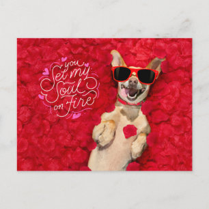 Funny Dog in Red Rose Petals Happy Valentine's Postcard