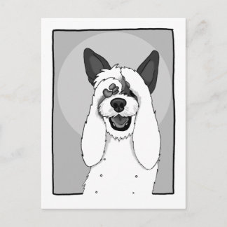 Funny Dog IV Postcard