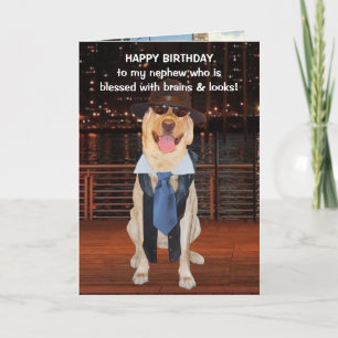 Funny Dog/Lab Birthday for Nephew Card