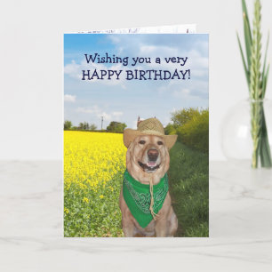 Funny Dog/Lab No Bull Birthday Card
