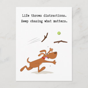 Funny Dog Life Advice Inspirational Postcard