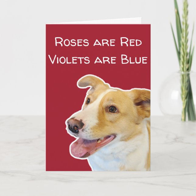 Funny Dog Lovers Cute Valentine's Day Card (Front)