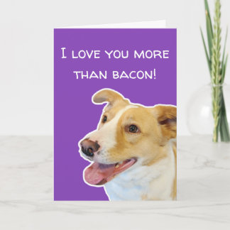 Funny Dog Lovers Valentine's Day Card