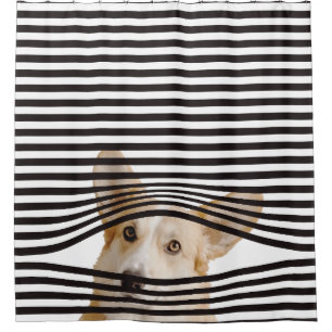 Funny dog Modern clipart stripes black and white Shower Curtain