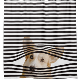 Funny dog Modern clipart stripes black and white Shower Curtain