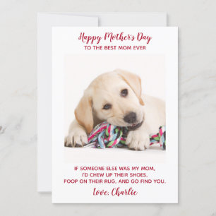 Funny Dog Mum Personalised Pet Photo Mothers Day  Holiday Card