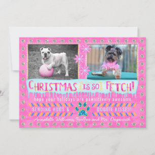Funny Dog Pet Christmas Holiday Photo So Fetch