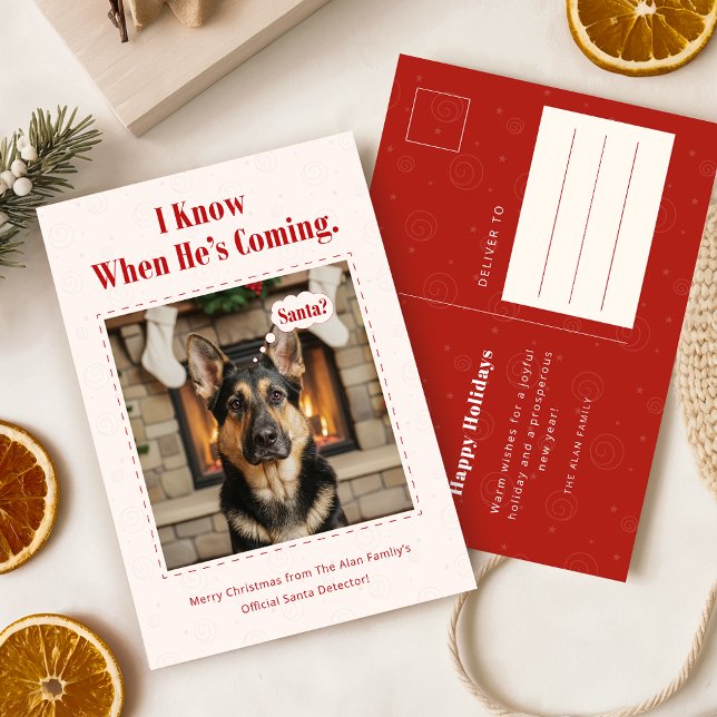 Funny Dog Pet Photo Christmas Holiday Postcard (Creator Uploaded)