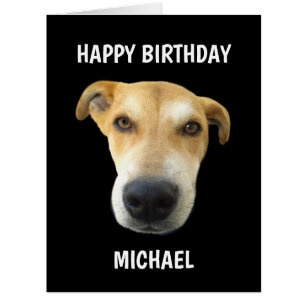 Funny Dog Photo Birthday Big Personalised Card