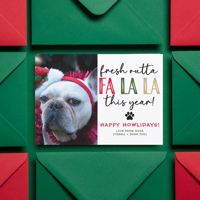 Funny Dog Photo Christmas Picture Custom Humourous Holiday Card (Creator Uploaded)