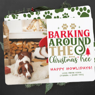 Funny Dog Photo Christmas Picture Personalised Holiday Card