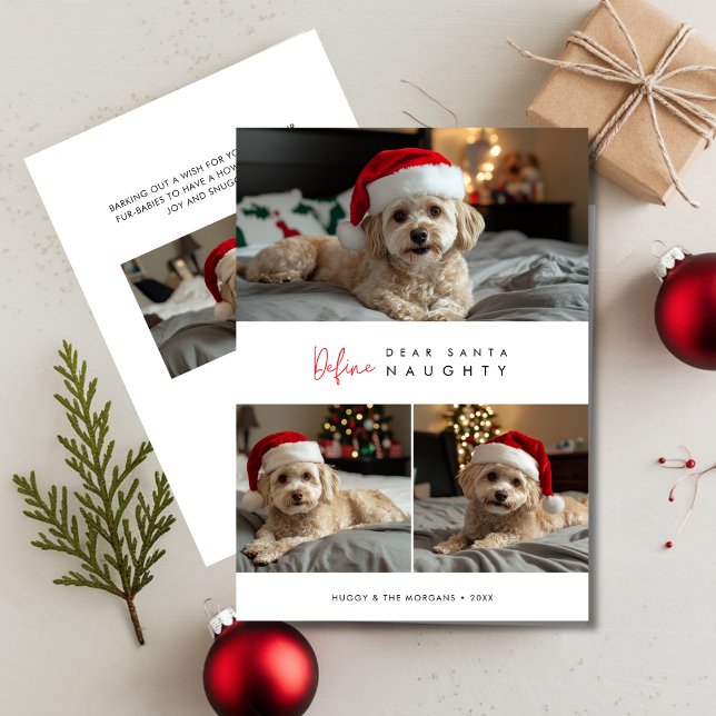 Funny Dog Photo Define Naughty Christmas Greetings Holiday Card (Creator Uploaded)