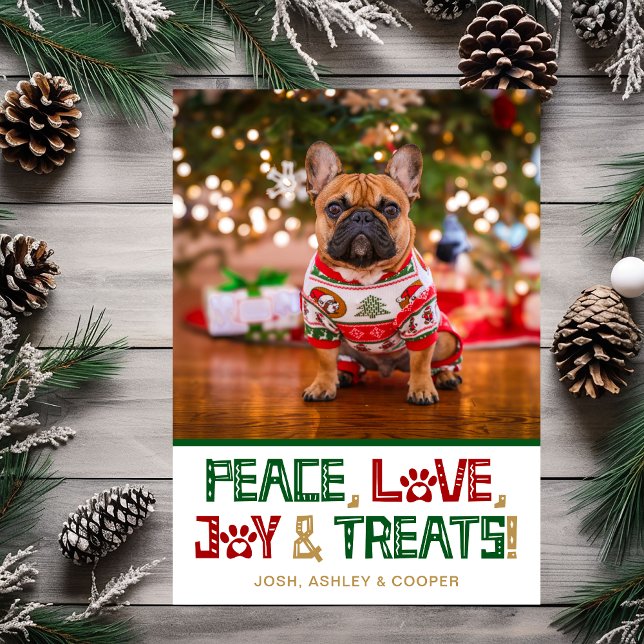 Funny Dog Photo Holiday Card (Creator Uploaded)