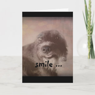 funny dog photography humourous birthday card