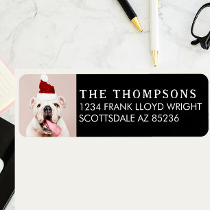 Funny Dog Picture Christmas Card Return Address