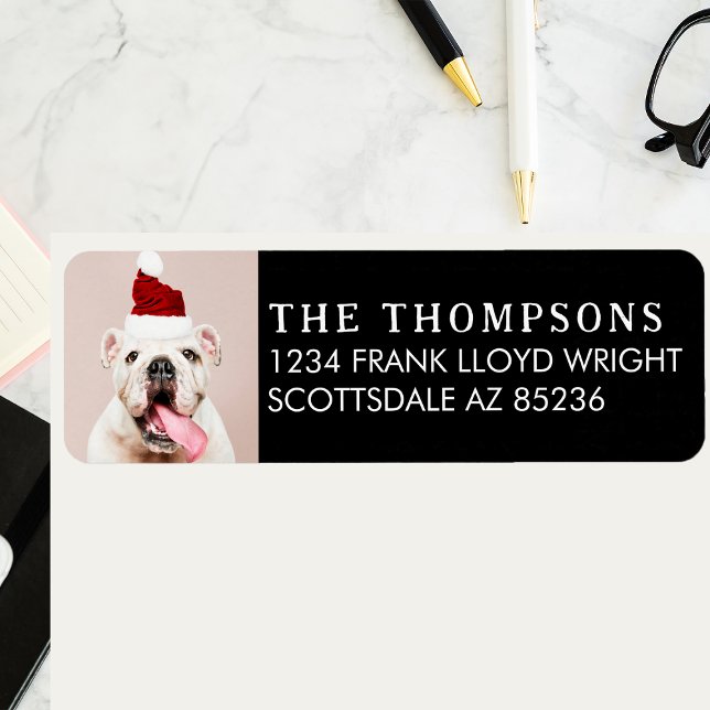 Funny Dog Picture Christmas Card Return Address (Creator Uploaded)