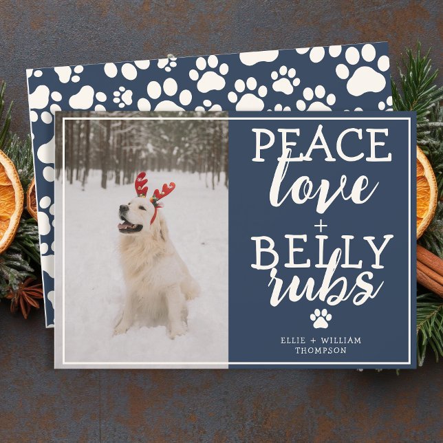 Funny Dog Picture Personalise Blue Christmas Photo Holiday Card (Creator Uploaded)