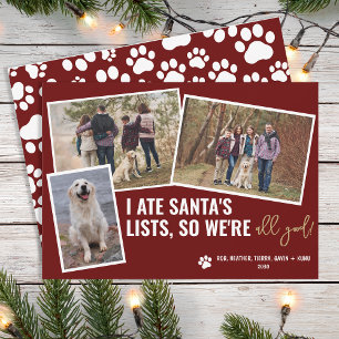 Funny Dog Pictures Personalised Christmas Photo  Holiday Card