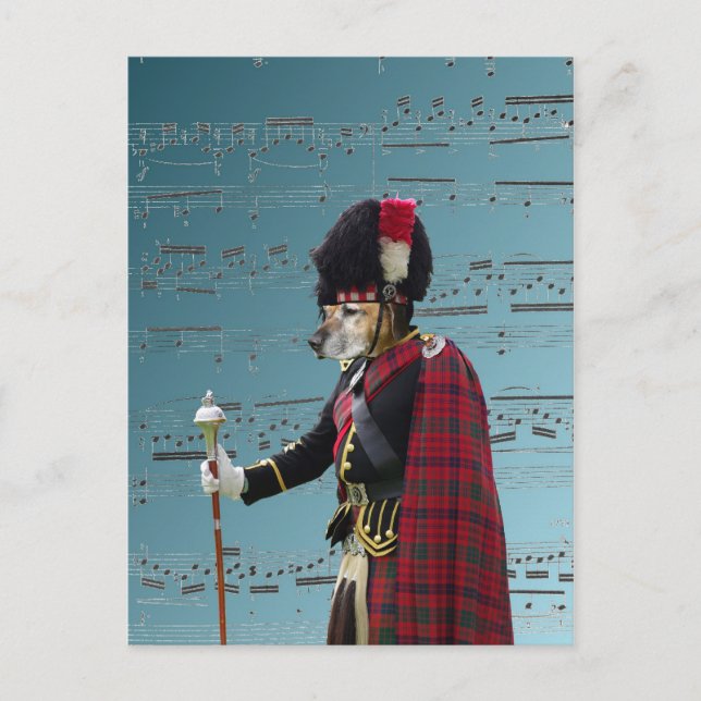 Funny dog pipe major postcard (Front)