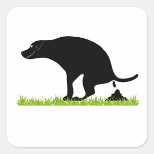 Funny Dog Pooping Square Sticker