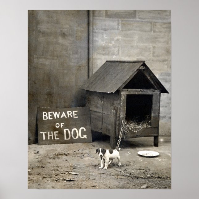 Funny Dog Poster (Front)