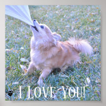 Funny Dog Pulling On Shirt Customised I Love You