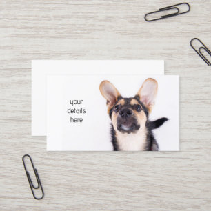 Funny dog puppy business card