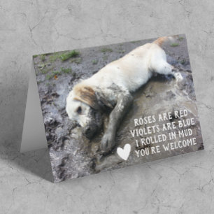 Funny Dog Puppy Valentine's Day Meme