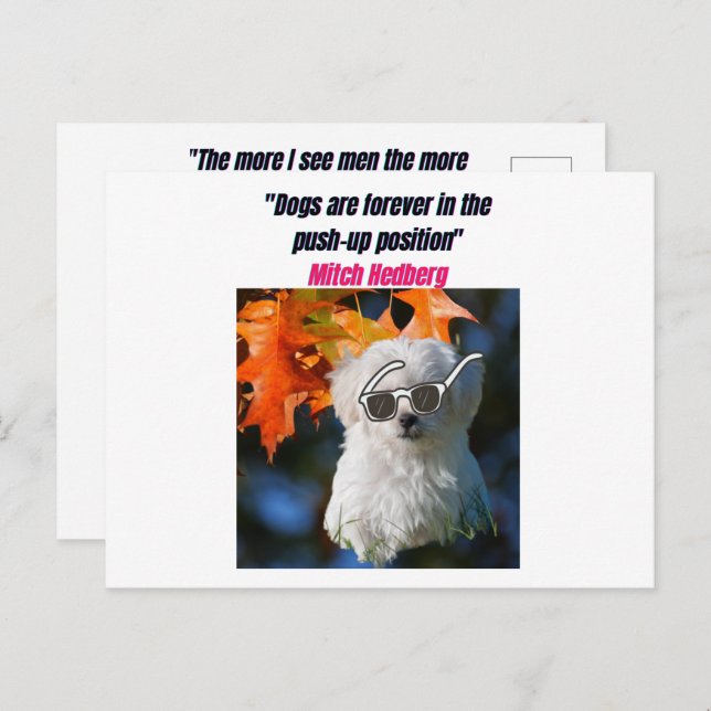 Funny Dog Quotes Postcard (Front/Back)