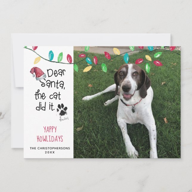 Funny Dog Saying Holiday Lights Photo Dog Name Card (Front)