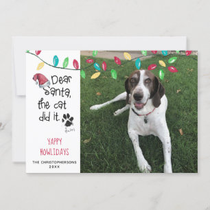 Funny Dog Saying Holiday Lights Photo Dog Name Card
