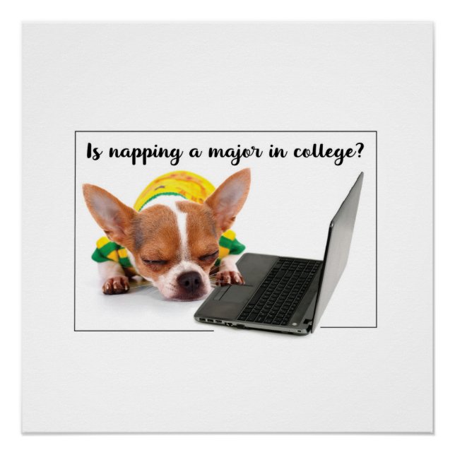 Funny Dog Sleeping on Laptop Computer Poster (Front)