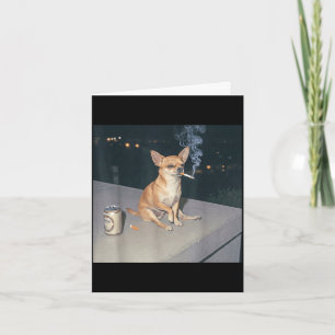 Funny dog smoking chihuahua meme cigarette beer  card
