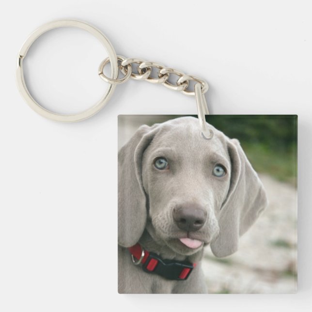 Funny Dog Sticking Tongue Out Photo Key Ring (Front)
