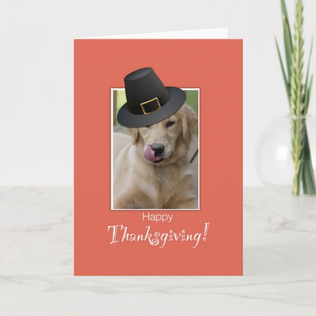 Funny Dog Thanksgiving, Humourous Wearing Pilgrim  Holiday Card (Front)