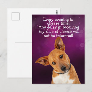 Funny dog thought postcard