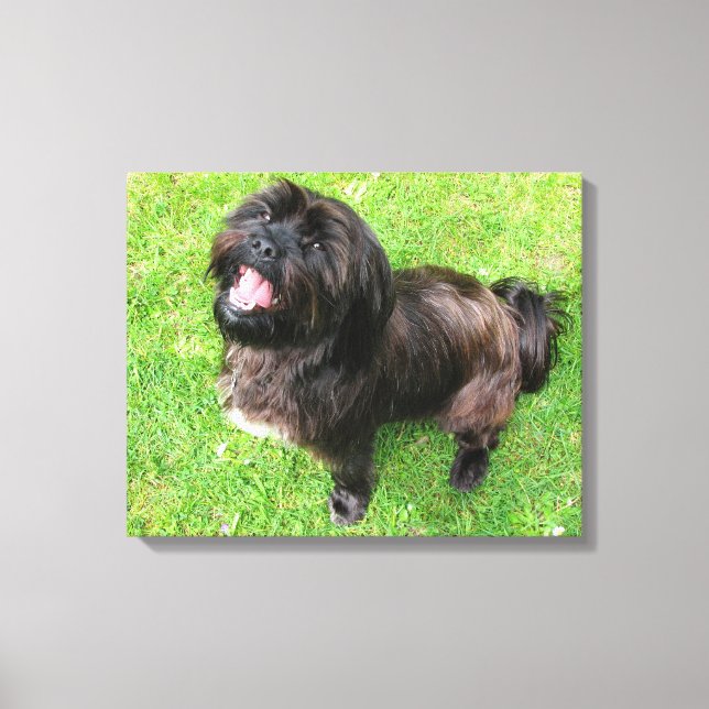 Funny dog with attitude! canvas print (Front)