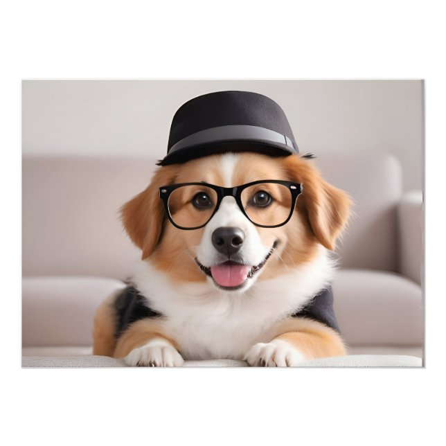 Funny dog with glasses and hat photo print (Front)
