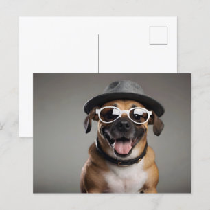 Funny dog with glasses and hat postcard