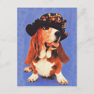 Funny Dog with Hat Vintage 1970s Postcard