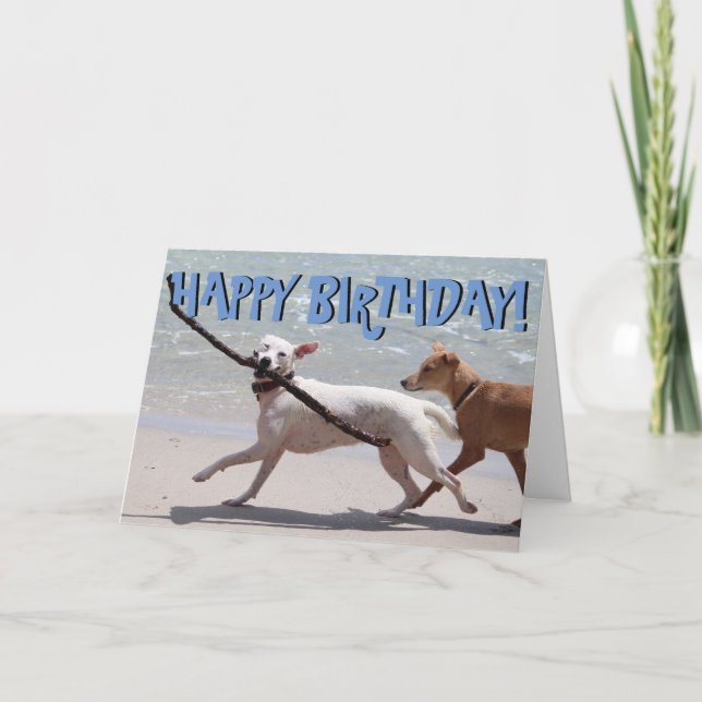 Funny dog with stick birthday card (Front)