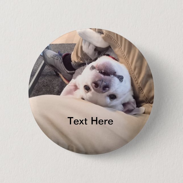 Funny Dog Won't Be Ignored Comical Photo 6 Cm Round Badge (Front)