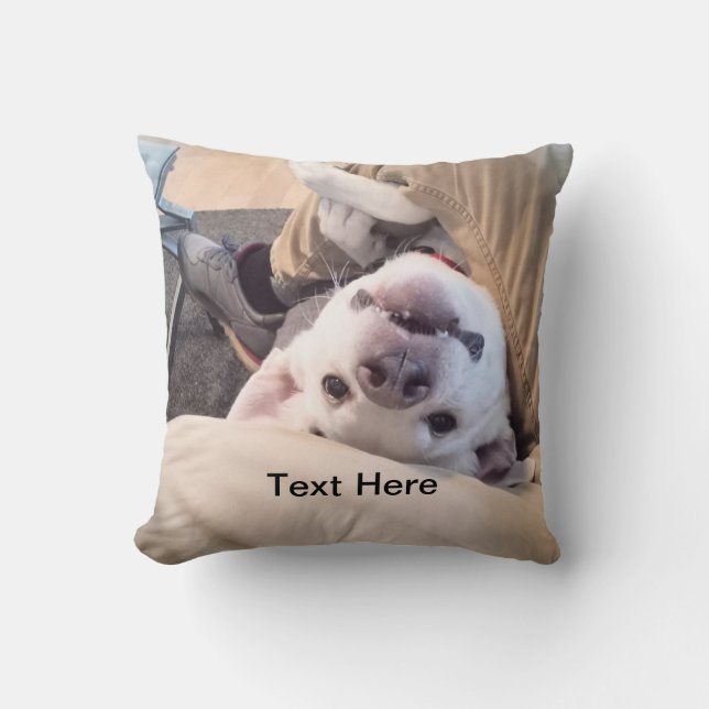 Funny Dog Won't Be Ignored Comical Photo Cushion (Front)